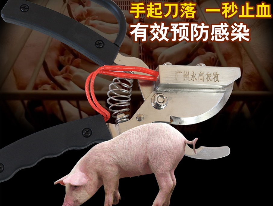 香港正牌资料大全仔猪断尾钳，电热断尾钳，香港正牌资料大全兽用器械
