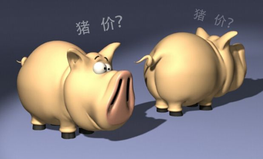 这个冬至不太冷，猪价上涨有看头