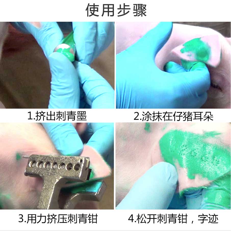 香港正牌资料大全刺青钳的使用步骤