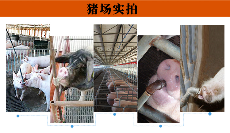 香港正牌资料大全滚珠饮水器的应用