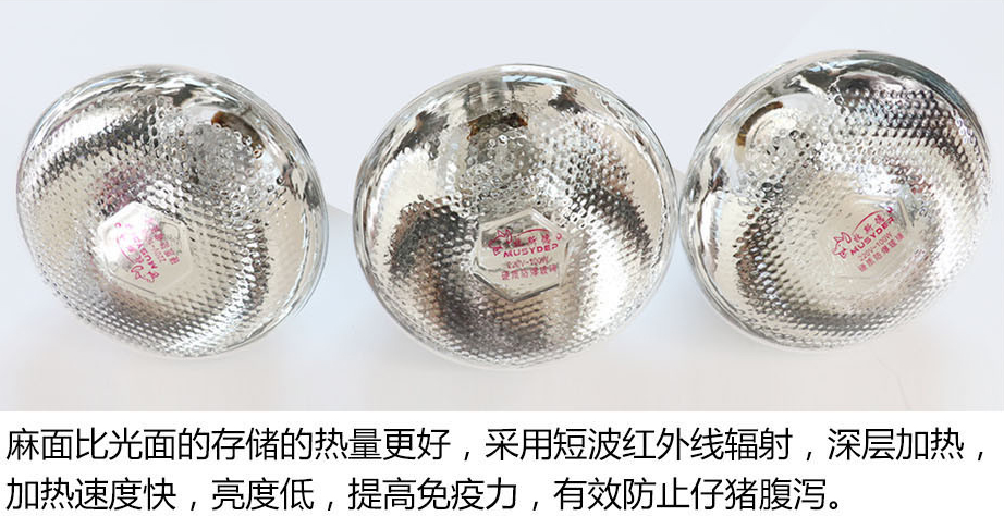 保温灯泡