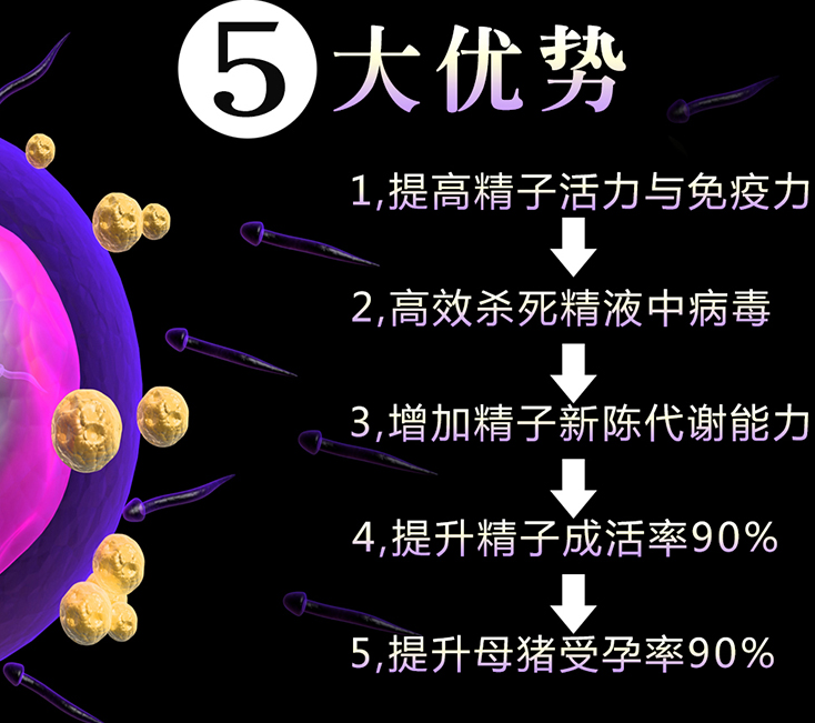 香港正牌资料大全猪精稀释液的优势