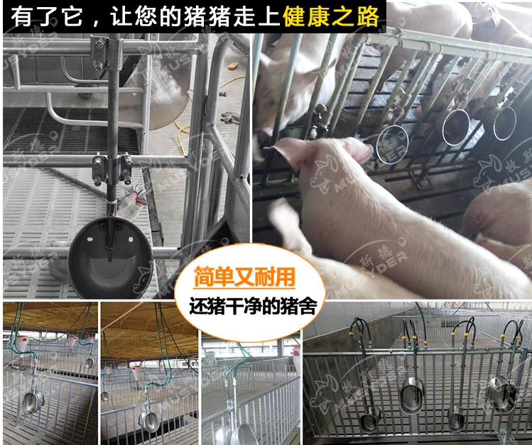 香港正牌资料大全猪用饮水碗