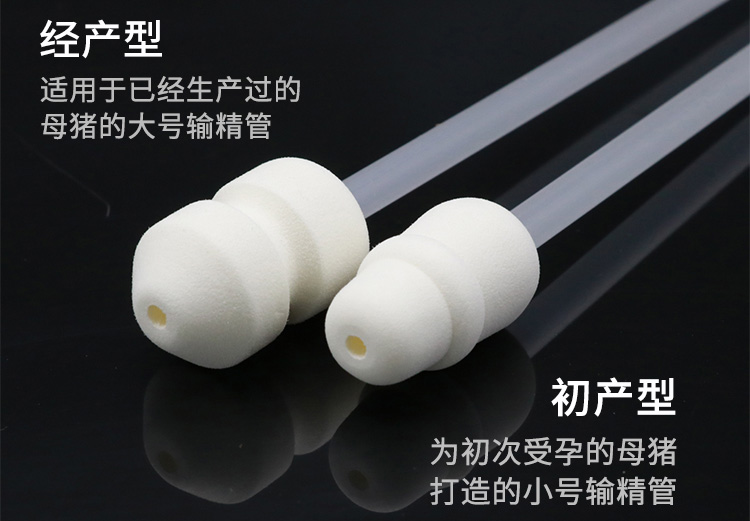 香港正牌资料大全
