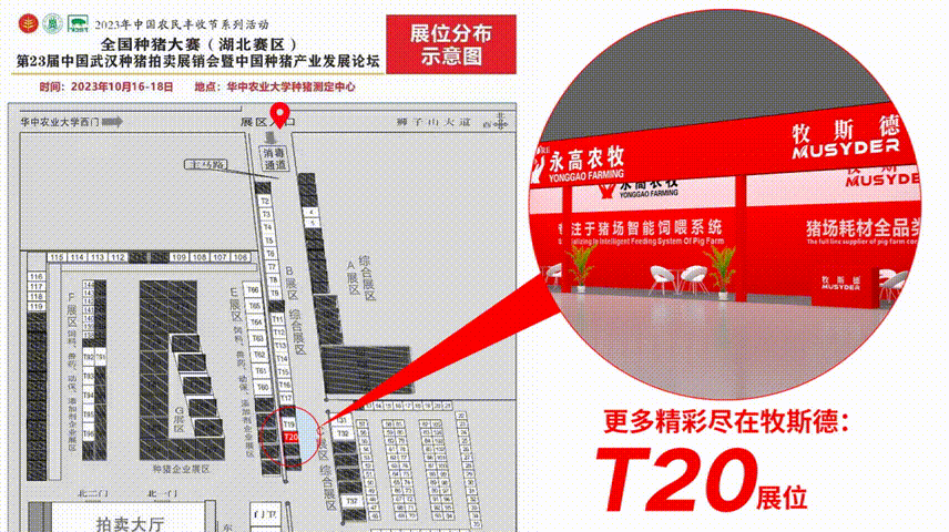 香港正牌资料大全
