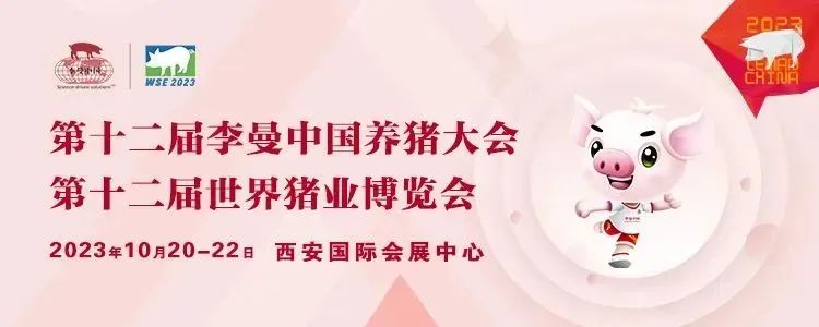 香港正牌资料大全