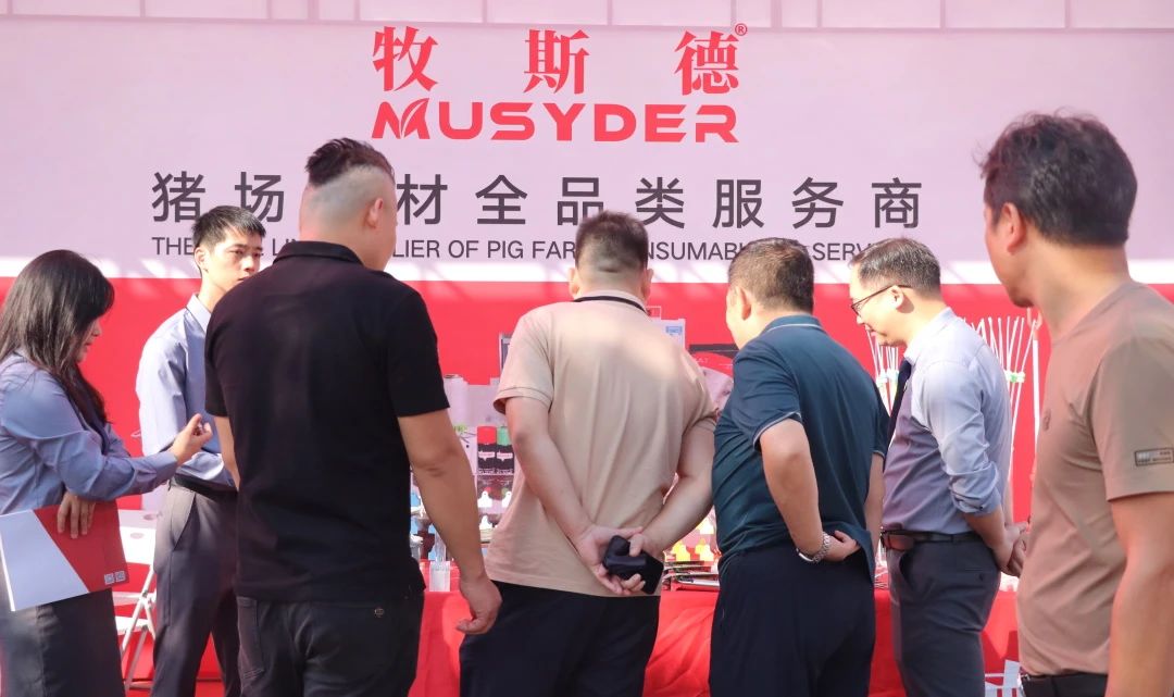 香港正牌资料大全