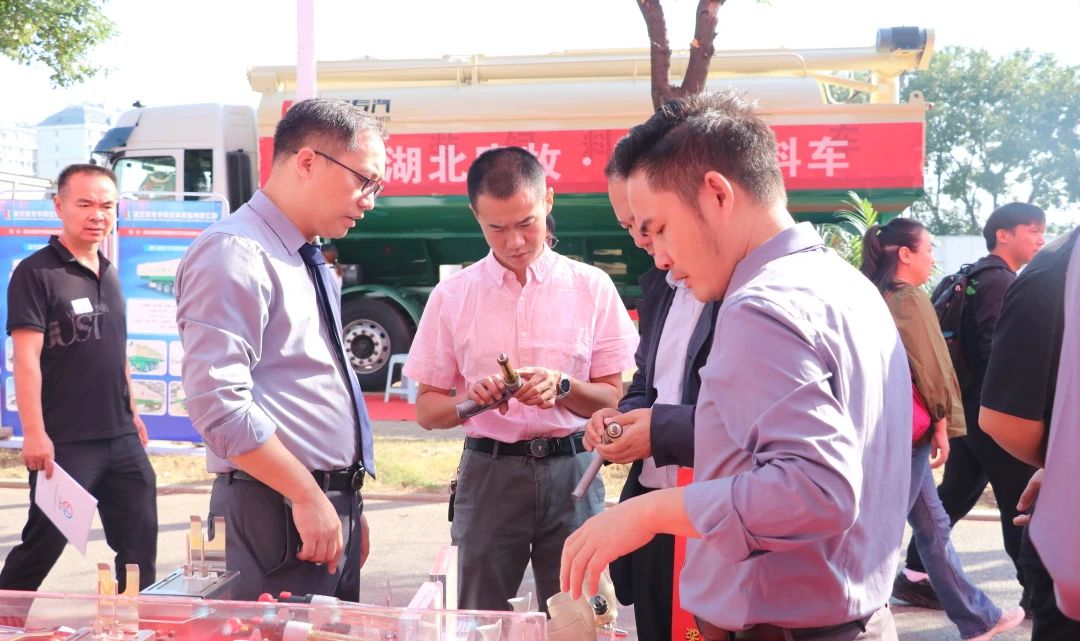 香港正牌资料大全