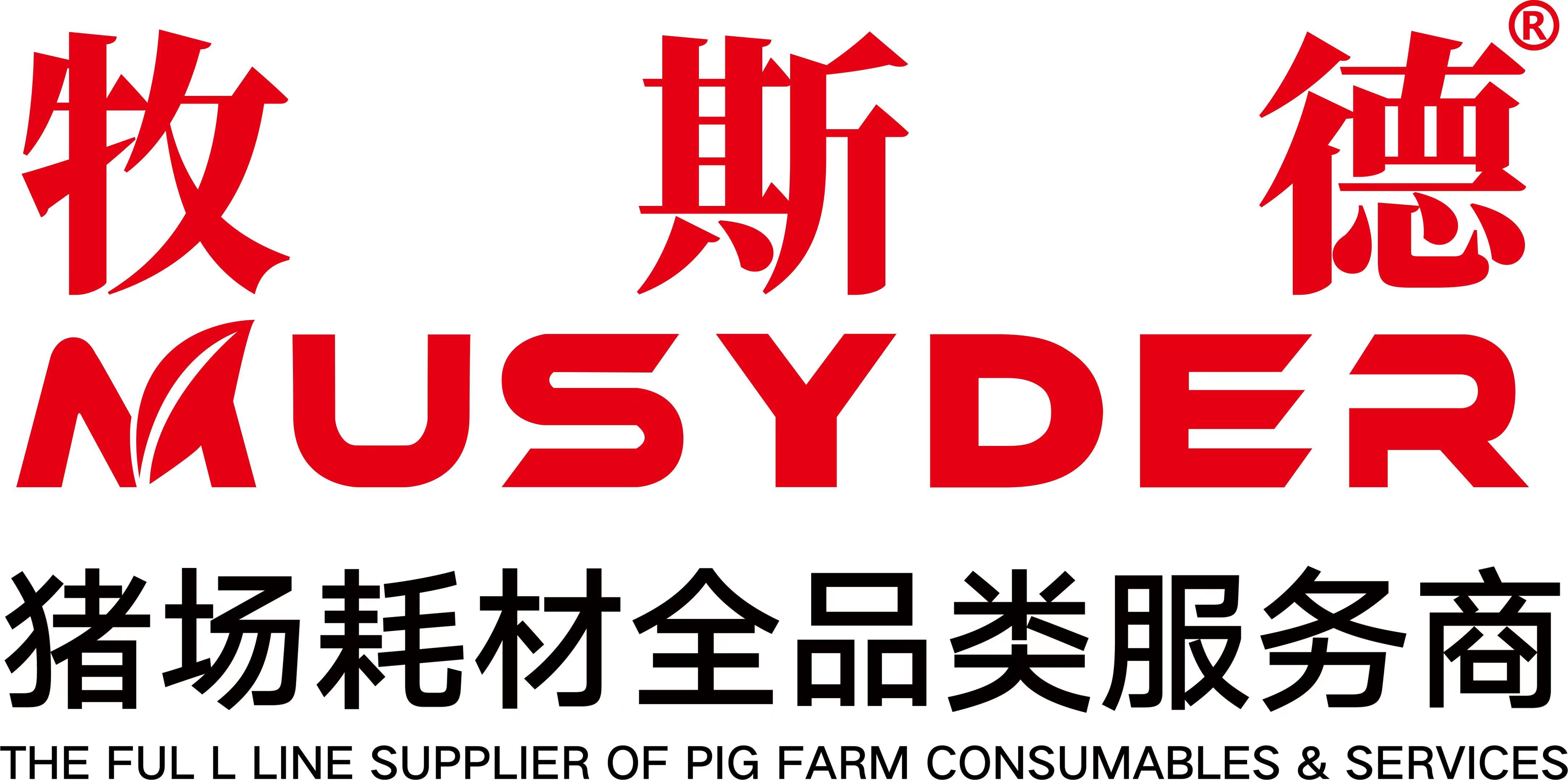 香港正牌资料大全