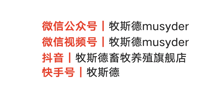香港正牌资料大全