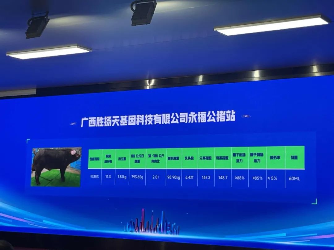 香港正牌资料大全