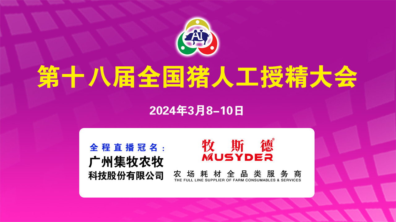 香港正牌资料大全