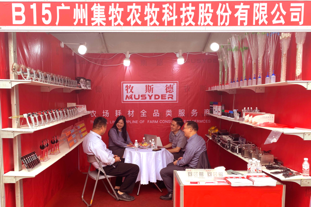 香港正牌资料大全