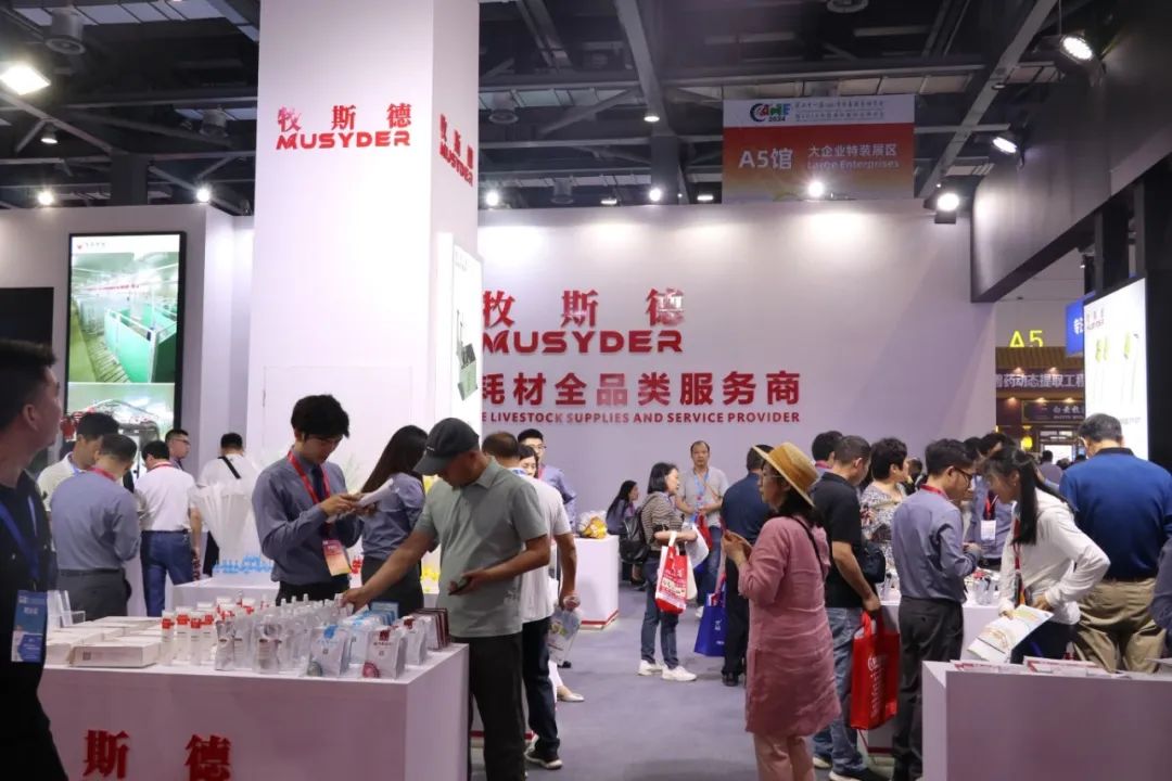 香港正牌资料大全