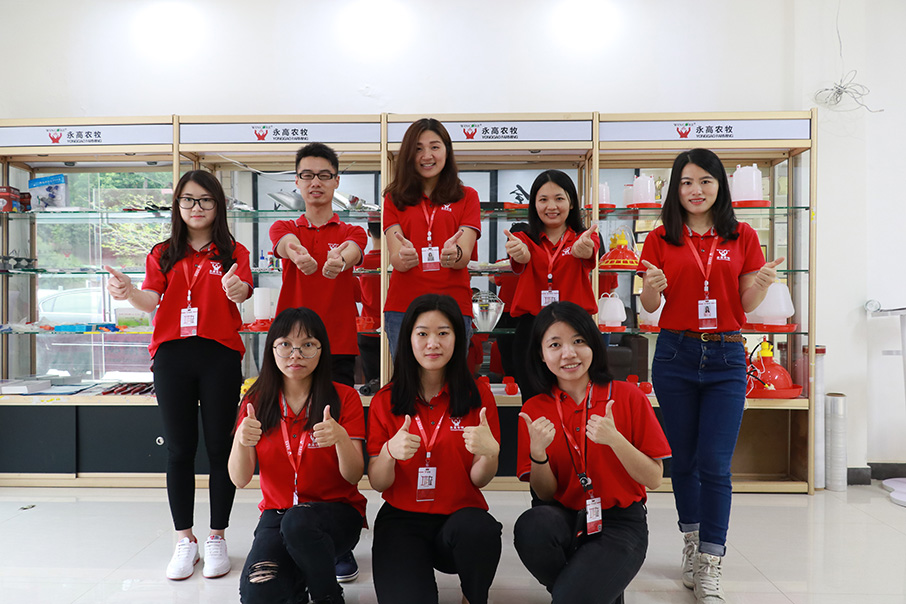 外贸部的小伙伴 外贸部的小伙伴