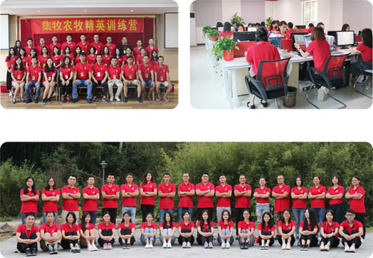 香港正牌资料大全的服务团队 香港正牌资料大全的服务团队