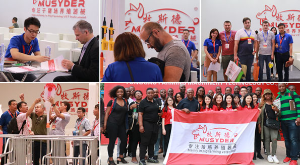 往届展会的盛况 往届展会的盛况