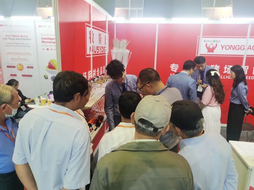 香港正牌资料大全