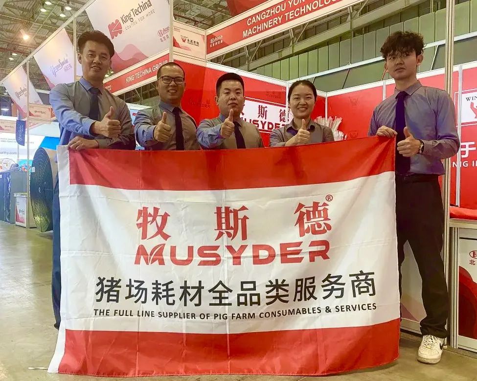 香港正牌资料大全